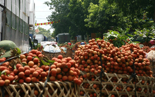 Sieu thi, cho Sai Gon dua nhau tieu thu trai vai hinh anh