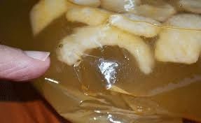 Ngày 2/10/2012, bà Trần Thị Dưa (59 tuổi, trú thôn Vân Thê Đập, xã Thủy Thanh, thị xã Hương Thủy, tỉnh Thừa Thiên - Huế) mua một số gói bánh snack do một công ty ở Hà Nội sản xuất về ngâm trong nước 14 giờ thì phát hiện những sinh vật màu trắng li ti, bò lúc nhúc như dòi. Khoảng 7 giờ sau, những sinh vật này chuyển sang màu đen. 