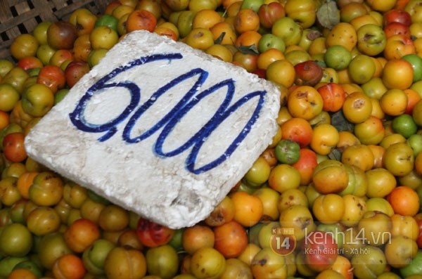 Mận cơm giá 6.000 đồng/kg từ các tỉnh phía Tây Bắc xuống.