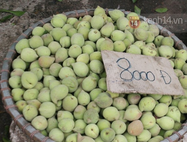 Nhung loai hoa qua ban o Ha Noi gia chi duoi 10.000 dong/kg hinh anh