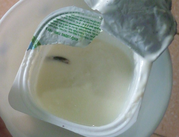 Vào khoảng tháng 11/2012, gia đình bà Nguyễn Thị Vân Anh - ông Trương Xuân Thiết, Thạch môn, Hà Tĩnh, đã ăn hết ½ hộp sữa chua ăn, sau đó thấy có dị vật giống như đỉa trên nắp hộp. Tuy nhiên, với công nghệ sản xuất sữa nghiêm ngặt hiện nay Hiệp hội Sữa, Cục An toàn vệ sinh thực phẩm và các chuyên gia tại Việt Nam đã khẳng định không thể có trường hợp đỉa sống trong sữa.