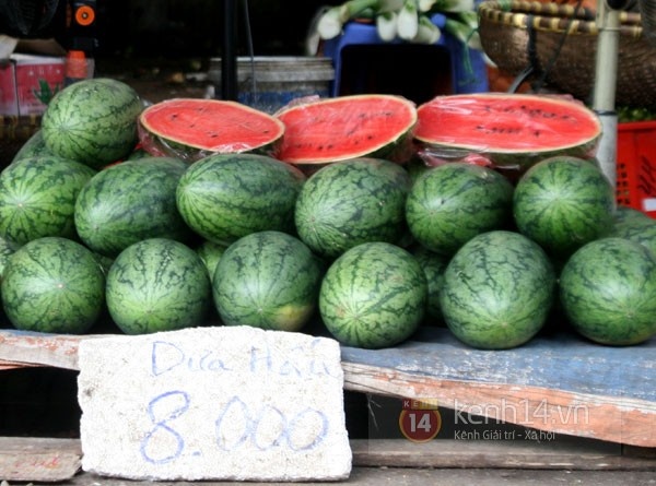 Dưa hấu ngon ngọt cũng chỉ có giá 8.000 đồng/kg.