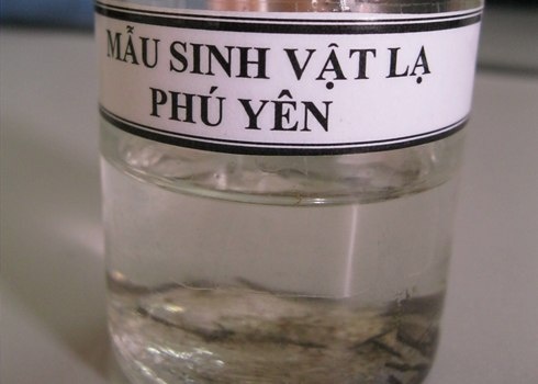 Nhung quan ao, do dung bi phat hien co vat la gay tranh cai hinh anh