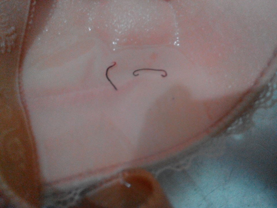 Ngay sau khi được đăng tải trên trang cá nhân, các bức ảnh chị T.L chụp chiếc áo ngực có sinh vật lạ được chia sẻ rộng rãi trên các trang mạng xã hội. Tuy nhiên, phần lớn ý kiến cho rằng 2 sinh vật lạ này hoàn toàn không phải con đỉa, mà là con giun đất. Do chị T.L không mang mẫu vật đi giám định nên câu hỏi “sinh vật lạ” kia là con gì vẫn còn bỏ ngỏ.