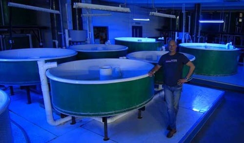 Ông Lloyd Moskalik bán 2 tấn cá mú/tuần cho các nhà bán sỉ.