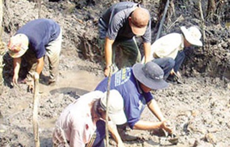 Nhung kho bau hang tan vang bi an o Viet Nam hinh anh