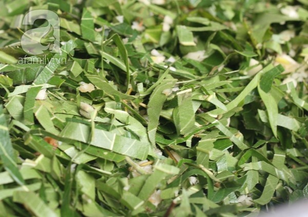 Lá sung - là một trong những loại lá không thể thiếu trong mỗi chiếc nem, mặc dù mỗi chiếc nem chỉ gói ghém từ 1-2 sợi nhỏ xíu này. Ở Thanh Hóa sung là loại cây cực dễ trồng và được người dân trồng khắp nơi, nhưng lá sung để làm nem phải là lá sung bánh tẻ.