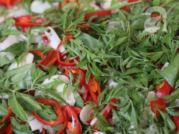 Cùng với lá sung thì tỏi, ớt tươi, lá đinh lăng là những thứ không thể thiếu trong mỗi chiếc nem chua, những thứ này giúp chiếc nem có mùi vị đặc trưng riêng.