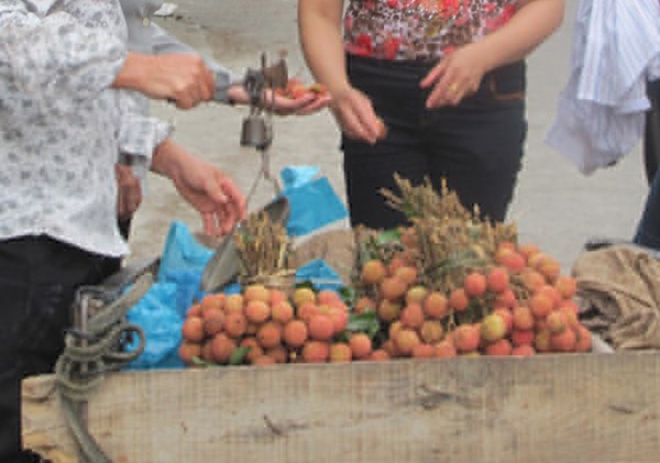 Qua vai Trung Quoc xam nhap nguoc vao Viet Nam hinh anh