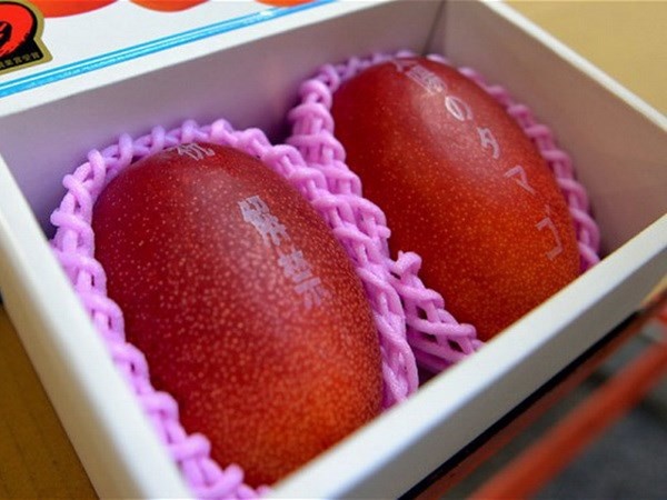 Nhung loai trai cay dang gia ca gia tai hinh anh