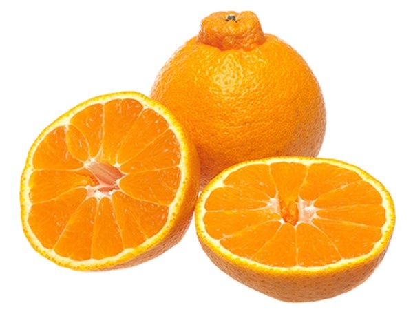 Cam lồi nguồn gốc Nhật Bản được lai tạo từ cam ngọt và quýt đường, đặc trưng là núm lồi cao, vỏ vàng sậm và ruột có vị ngọt đậm. Mỗi trái cam lồi được bán trên thị trường khoảng <abbr class=