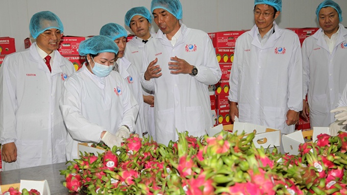 Pho lon Viet Nam den Nhat hinh anh