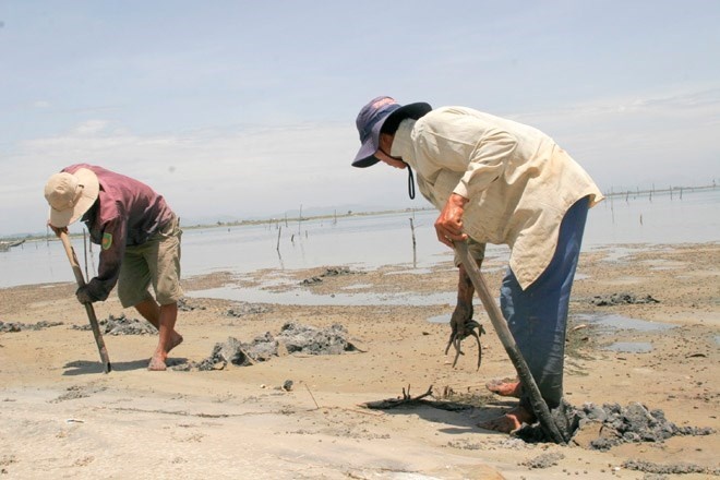 Ngiem cam cac hanh vi khai thac ,tan diet trun bien hinh anh