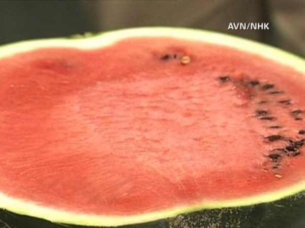 Dưa hấu Densuke có đặc điểm là rất tròn, vỏ đen bóng, ruột ăn có ngọt đậm nhưng thanh mát, dễ chịu.