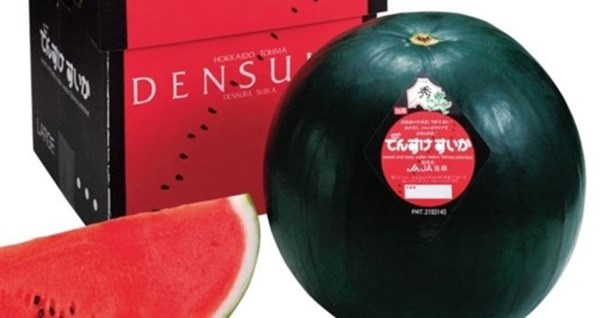 'Nhan sac' trai dua hau 70 trieu dong hinh anh