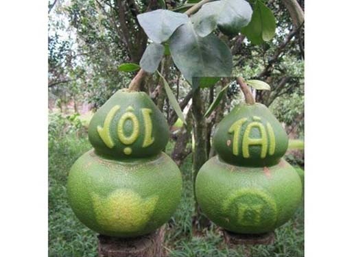 Dịp Tết 2013, bưởi hồ lô lại sốt giá với cặp tứ quý-chùm 4 quả giá 10-12 triệu đồng tại HTX Nông nghiệp và Dịch vụ Tân Triều (xã Tân Bình, Vĩnh Cửu, tỉnh Đồng Nai). Trên bưởi hồ lô có chữ nổi, dưới chữ dưới chữ “Tài” có thêm đồng tiền; dưới chữ “Lộc” có hình thỏi vàng. Ngoài ra, sản phẩm độc đáo nhất là bưởi hồ lô có 3 chữ “Phước-Lộc-Thọ”.