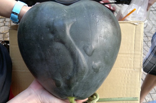 Anh Mai Nhật Trình ở quận Bình Thủy, tỉnh Cần Thơ suốt 2 năm qua đã mày mò cách trồng dưa hấu vàng có in nổi bản đồ Việt Nam, bao gồm cả quần đảo Trường Sa, Hoàng Sa và Phú Quốc. Tuy nhiên, hiện loại dưa này chưa được bán ra cho người tiêu dùng.