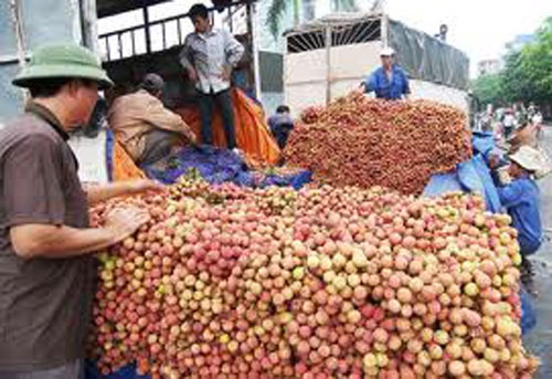 Vai TQ xuat sang VN: So Cong thuong... chua thay? hinh anh