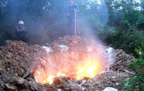 Toàn bộ số gián đất, trứng gián, dụng cụ nuôi gián đất của công ty Hoàng Hiệp đã bị tiêu hủy vào ngày 20/3 trong khi trước đó Sở Kế hoạch Đầu tư đã cấp phép cho nuôi.