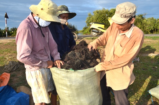 Thu nhap cao tu nghe khai thac rau cau hinh anh