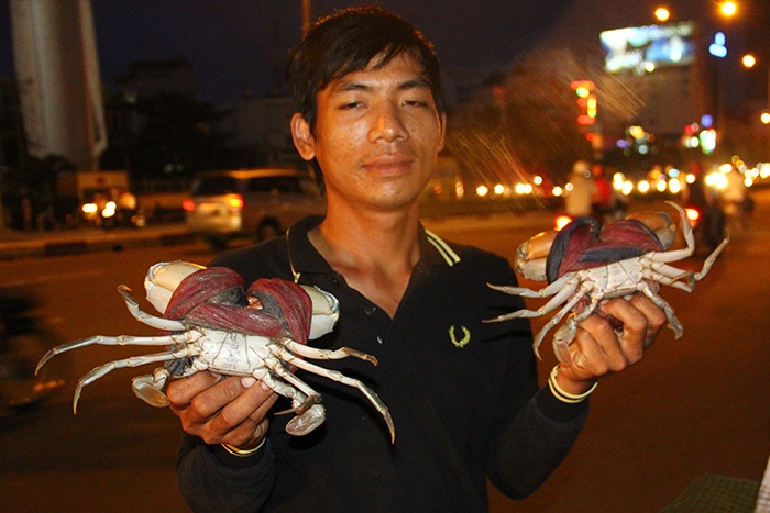 Cua Ca Mau 20.000 dong/con ban khap Sai Gon hinh anh