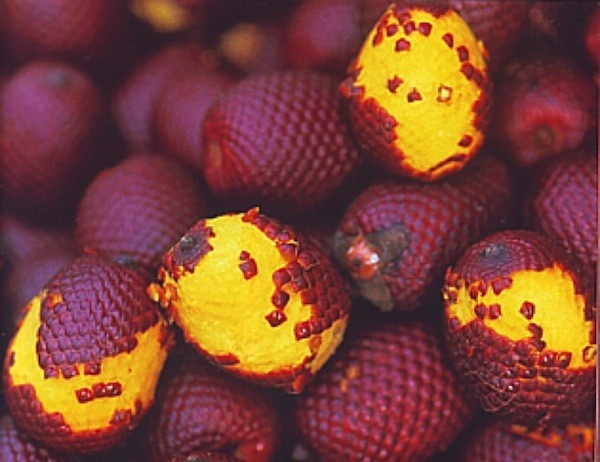 Cac loai hoa qua mua he hiem co, kho tim hinh anh