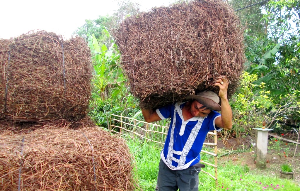 Tin thuong lai Trung Quoc, dan mien Tay om suong sao day nha hinh anh