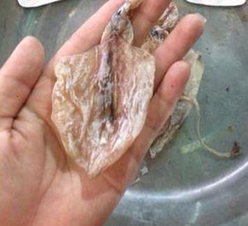 5.000 dong/con muc nho bang 3 ngon tay o Ha Noi hinh anh