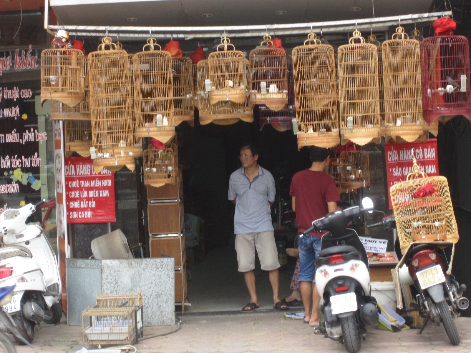 Thu loi cao tu ban chim 'tien tri' mua World Cup hinh anh