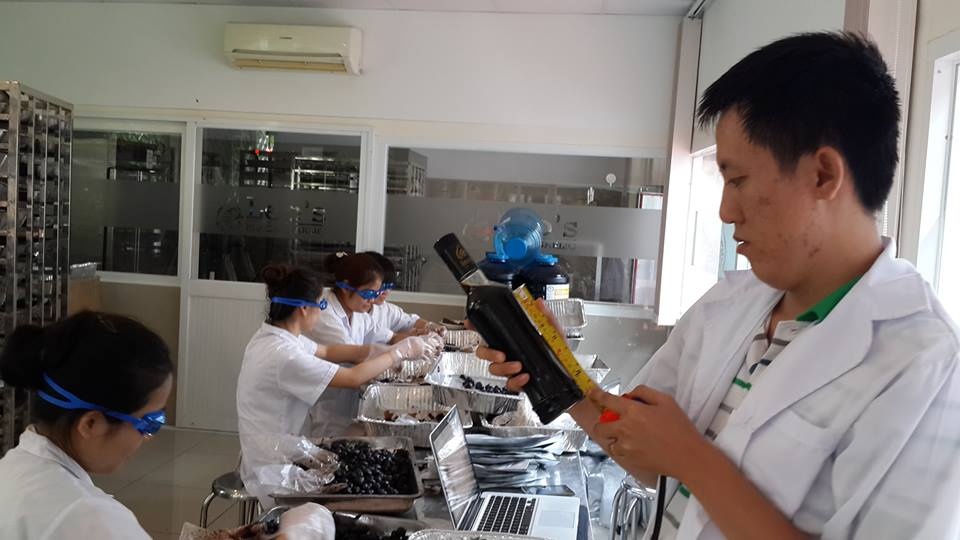 1. Bên trong một xưởng lên men tỏi đen tại TP. Hồ Chí Minh.