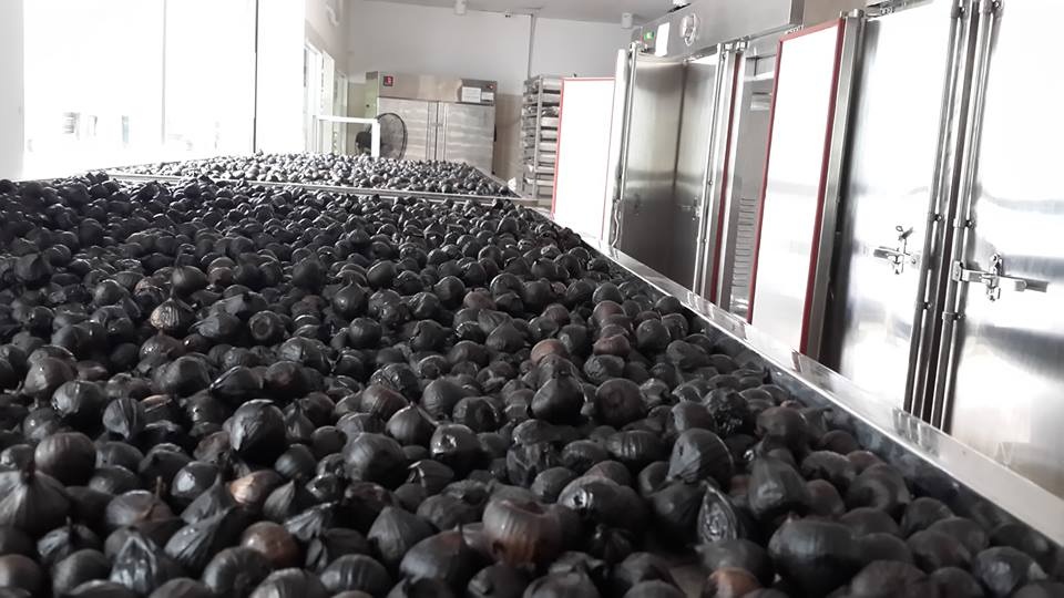 'Than duoc' toi den co the san xuat dai tra tai VN hinh anh