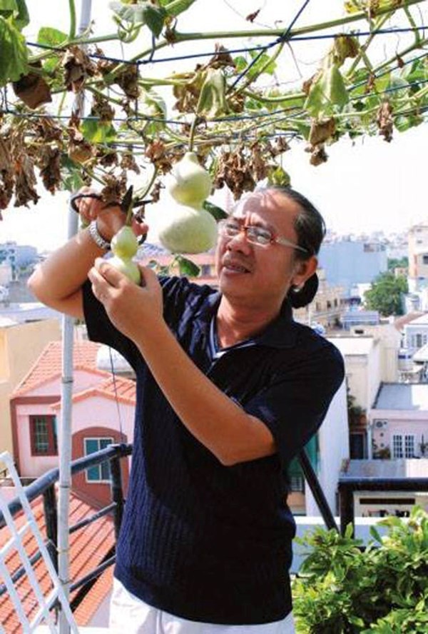 Mảnh vườn rau trên sân thượng nhà nghệ sĩ Trung Dân.