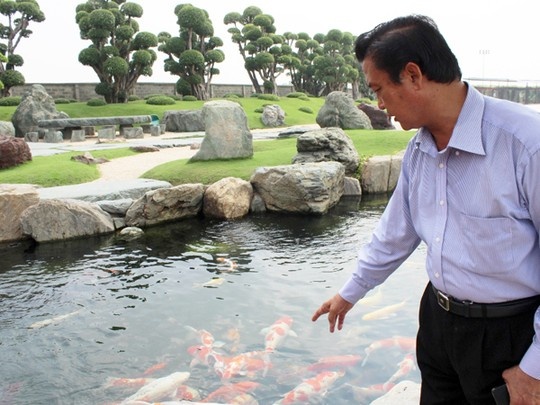 Ông Ngô Chánh, chủ công viên cá koi ở huyện Hóc Môn, TP HCM, giới thiệu về những chú cá do ông mang từ Nhật Bản về.