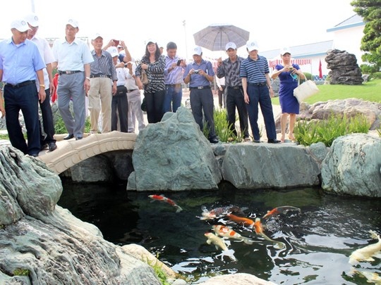 Rất nhiều du khách đến tham quan công viên cá koi.