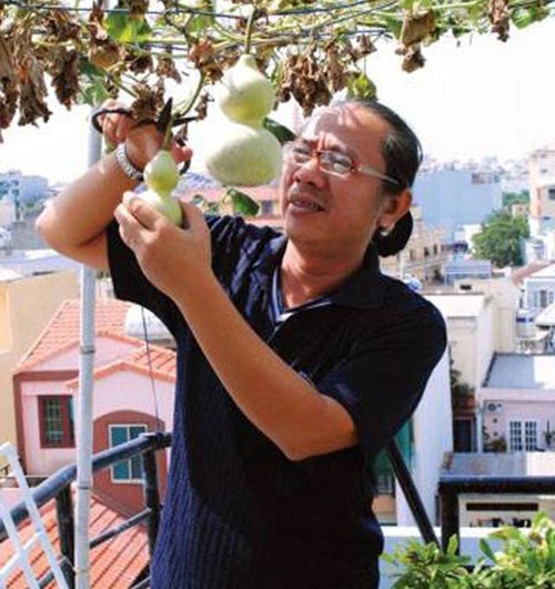 Doanh nhan danh dat 'vang' chon Sai thanh de trong rau hinh anh