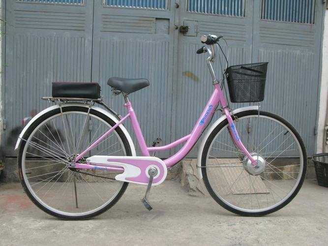 Che xe dap thuong thanh xe dap dien voi 2 trieu dong hinh anh