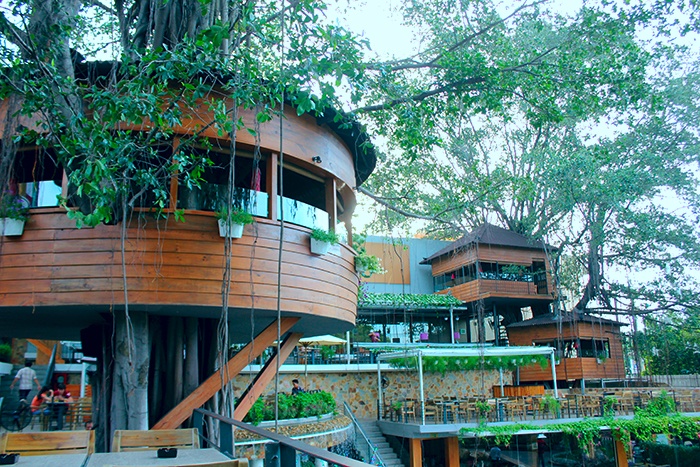 Quan ca phe tren cay doc dao nhat Sai Gon hinh anh
