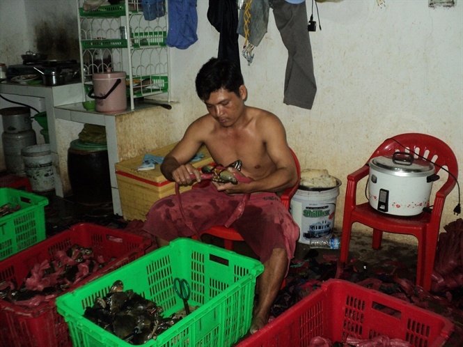 Thuc hu 'cua bien Ca Mau' ban sieu re hinh anh