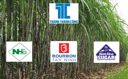 Những bước đi mới của ông Thành được nhấn mạnh với kỳ vọng mang lại chuyển biến rõ nét cho ngành mía đường Việt Nam