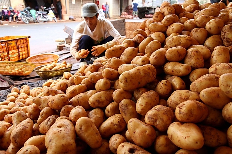 Nong san Trung Quoc doc hai danh lua nguoi Viet the nao? hinh anh