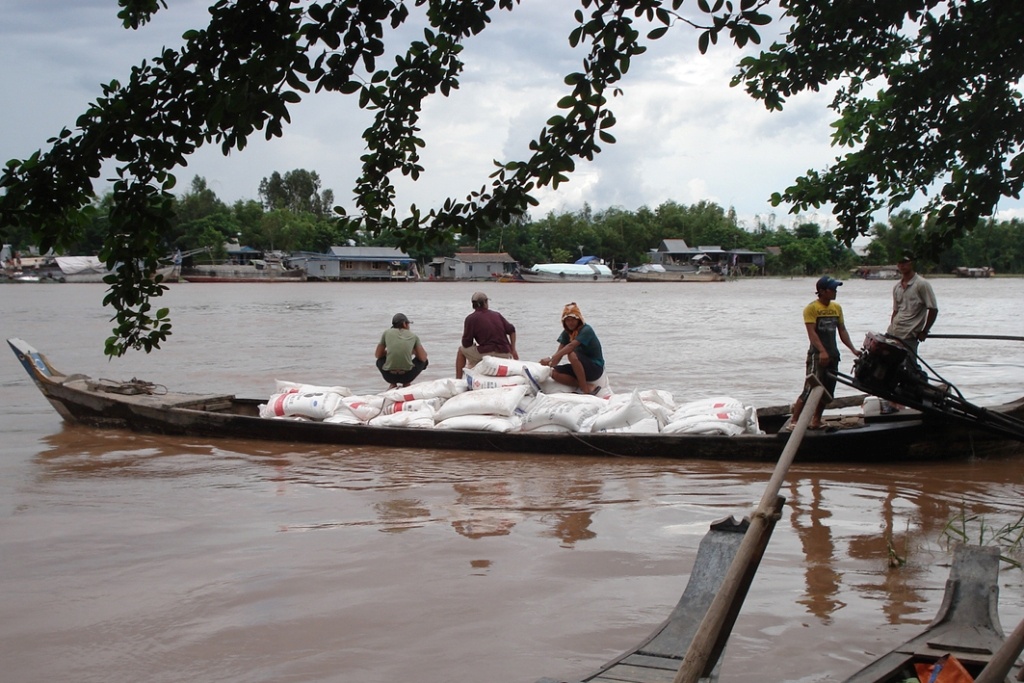Duong cat lau Thai Lan bien thanh hang Viet Nam nhu the nao? hinh anh