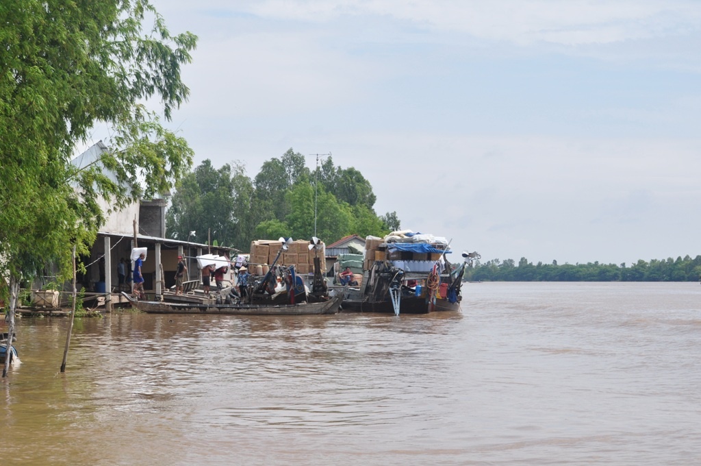 Sau chuyến sang đường giữa sông Hậu, các ghe đường cập bến nhập vào các kho gần khu vực cửa khẩu Khánh Bình.