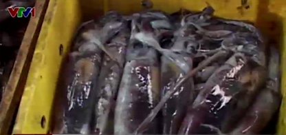 Muc la gia 20.000 dong/kg do bo cac cho Thua Thien Hue hinh anh