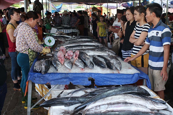 Can canh cho hai san Cua Lo hinh anh