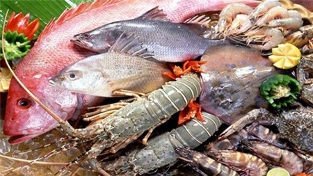 Thuy san nhiem doc: Vua an vua so hinh anh