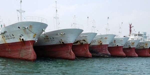 Du an mua 100 tau ca cua Cong ty Duc Khai: Lieu co kha thi? hinh anh