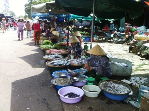 Muc la gia 20.000 dong/kg dot nhien bien mat hinh anh