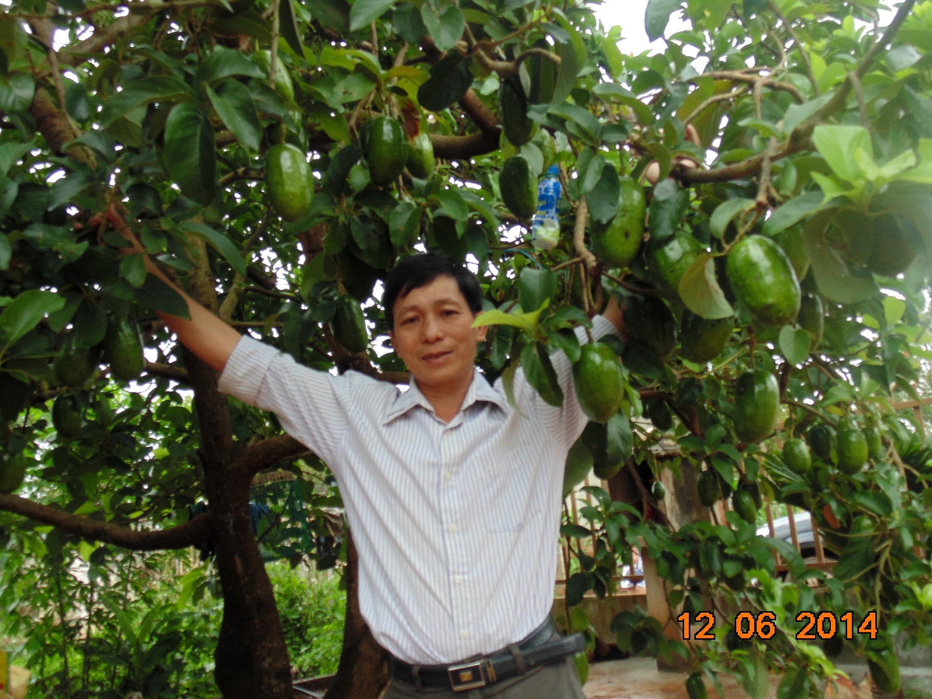 Ban hoa qua mien Tay kieu combo hinh anh