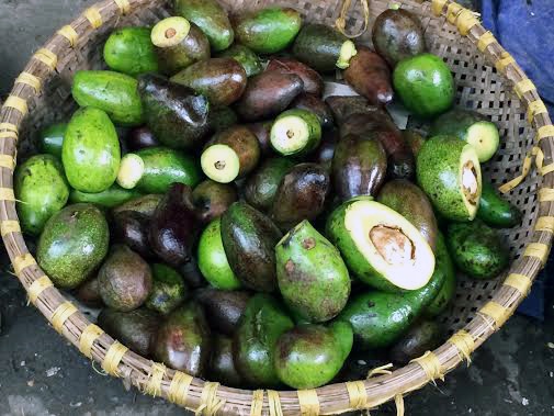 Bơ dập nát, hỏng được tân trang lại trong quán cà phê.