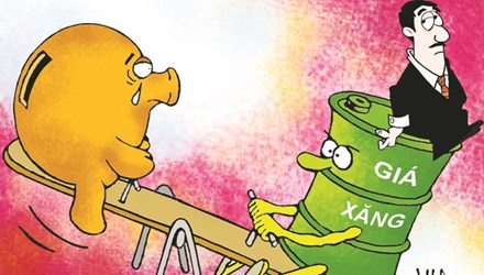 Vi sao gia xang o Viet Nam cao hon My hinh anh